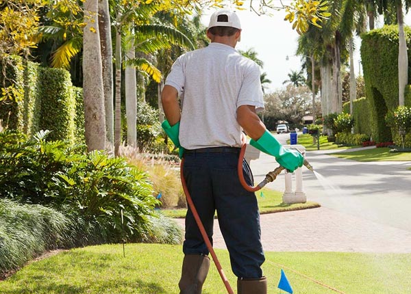 About Stroudsburg PA Pest Control